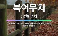 🌟북어무치: → 북어무침. (북어무침: 북어를 물에 불려서 잘게 뜯어 양념을 하여 무친 반찬.) - 표준국어대사전