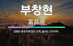🌟부창현: 강원도 춘천시에 있는 고개. 높이는 205미터. - 표준국어대사전