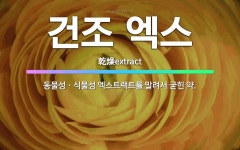 🌟건조 엑스: 동물성ㆍ식물성 엑스트랙트를 말려서 굳힌 약. - 표준국어대사전