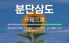 🌟분단삼도: 분단생사의 세계인 미계(迷界)의 혹도(惑道), 업도(業道), 고도(苦道)를 통틀어 이르는 말. - 표준국어대사전