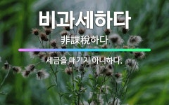 🌟비과세하다: 세금을 매기지 아니하다. - 표준국어대사전