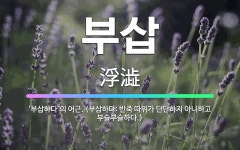 🌟부삽: ‘부삽하다’의 어근. (부삽하다: 반죽 따위가 단단하지 아니하고 부슬부슬하다.) - 표준국어대사전