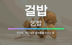 🌟걸밥: 은어로, 먹다 남은 음식물을 이르는 말. - 표준국어대사전
