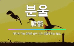 🌟분울: 허파의 기능 장애로 숨이 차고 답답해지는 증상. - 표준국어대사전