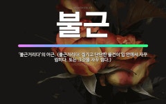 🌟불근: ‘불근거리다’의 어근. (불근거리다: 질기고 단단한 물건이 입 안에서 자꾸 씹히다. 또는 그것을 ... - 표준국어대사전