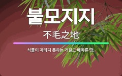 🌟불모지지: 식물이 자라지 못하는 거칠고 메마른 땅. - 표준국어대사전