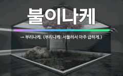 🌟불이나케: → 부리나케. (부리나케: 서둘러서 아주 급하게.) - 표준국어대사전