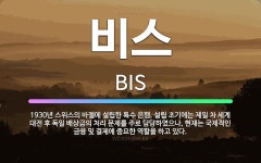 🌟비스: 1930년 스위스의 바젤에 설립한 특수 은행. 설립 초기에는 제일 차 세계 대전 후 독일 배상금의... - 표준국어대사전