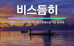 🌟비스듬히: 수평이나 수직이 되지 아니하고 한쪽으로 기운 듯하게. - 표준국어대사전