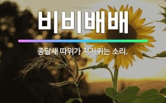 🌟비비배배: 종달새 따위가 지저귀는 소리. - 표준국어대사전