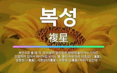 🌟복성: 육안으로 볼 때, 두 개 이상의 별이 같은 방향에 놓이거나 가까이 인접하여 있어서 하나처럼 보이는... - 표준국어대사전