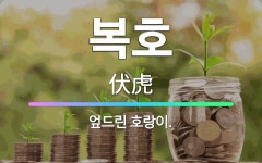 🌟복호: 엎드린 호랑이. - 표준국어대사전