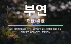 🌟부연: 처마 서까래의 끝에 덧얹는 네모지고 짧은 서까래. 처마 끝을 위로 들어 올려 모양이 나게 한다. - 표준국어대사전
