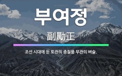 🌟부여정: 조선 시대에 둔 토관직 종칠품 무관의 벼슬. - 표준국어대사전