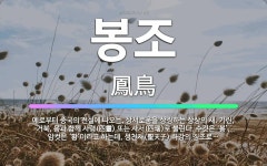 🌟봉조: 예로부터 중국의 전설에 나오는, 상서로움을 상징하는 상상의 새. 기린, 거북, 용과 함께 사령(四... - 표준국어대사전