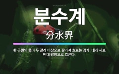🌟분수계: 한 근원의 물이 두 갈래 이상으로 갈라져 흐르는 경계. 대개 서로 반대 방향으로 흐른다. - 표준국어대사전