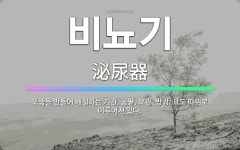 🌟비뇨기: 오줌을 만들어 배설하는 기관. 콩팥, 요관, 방광, 요도 따위로 이루어져 있다. - 표준국어대사전