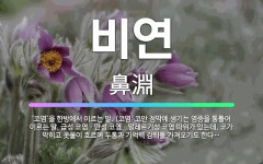 🌟비연: ‘코염’을 한방에서 이르는 말. (코염: 코안 점막에 생기는 염증을 통틀어 이르는 말. 급성 코염... - 표준국어대사전