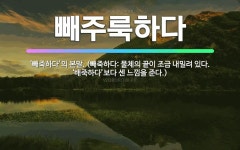 🌟빼주룩하다: ‘빼죽하다’의 본말. (빼죽하다: 물체의 끝이 조금 내밀려 있다. ‘배죽하다’보다 센 느낌을... - 표준국어대사전