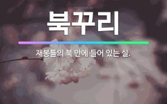 🌟북꾸리: 재봉틀의 북 안에 들어 있는 실. - 표준국어대사전