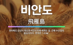 🌟비안도: 전라북도 군산시 옥도면 비안도리에 속하는 섬. 근해 수산업의 중심지이다. 면적은 1.63㎢. - 표준국어대사전