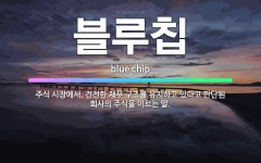 🌟블루칩: 주식 시장에서, 건전한 재무 구조를 유지하고 있다고 판단된 회사의 주식을 이르는 말. - 표준국어대사전