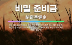 🌟비밀 준비금: 대차 대조표에 명기되어 있지 않은 감추어진 적립금 또는 이익 잉여금. 기업의 순 재산의 과... - 표준국어대사전