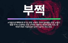 🌟부쩍: 몹시 힘을 주거나 긴장하는 모양., 외곬으로 빡빡하게 우기는 모양., 매우 가까이 달라붙는 모양.... - 표준국어대사전
