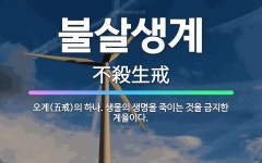 🌟불살생계: 오계(五戒)의 하나. 생물의 생명을 죽이는 것을 금지한 계율이다. - 표준국어대사전