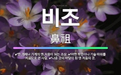 🌟비조: 한 겨레나 가계의 맨 처음이 되는 조상., 나중 것의 바탕이 된 맨 처음의 것., 어떤 학문이나 ... - 표준국어대사전