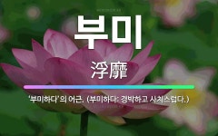 🌟부미: ‘부미하다’의 어근. (부미하다: 경박하고 사치스럽다.) - 표준국어대사전