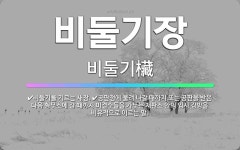 🌟비둘기장: 공판정에 불려 나갈 때까지 또는 공판을 받은 다음 형무소에 갈 때까지 미결수들을 가두는 재판소... - 표준국어대사전