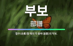 🌟부보: 합주(合奏)할 때의 각 음부(音部)의 악보. - 표준국어대사전