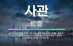 🌟사관: 열을 흡수하거나 내보내기 위하여 나선형으로 면적을 크게 만든 관., 자유롭게 휘어지도록 고무, 비... - 표준국어대사전