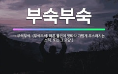 🌟부숙부숙: → 부석부석. (부석부석: 마른 물건이 잇따라 가볍게 부스러지는 소리. 또는 그 모양.) - 표준국어대사전