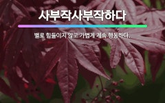 🌟사부작사부작하다: 별로 힘들이지 않고 가볍게 계속 행동하다. - 표준국어대사전