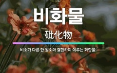 🌟비화물: 비소가 다른 한 원소와 결합하여 이루는 화합물. - 표준국어대사전