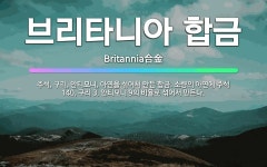🌟브리타니아 합금: 주석, 구리, 안티모니, 아연을 섞어서 만든 합금. 소량의 아연에 주석 140, 구리 ... - 표준국어대사전