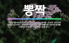 🌟뽕짝: ‘트로트’를 속되게 이르는 말. 또는 그 가락의 흉내말. (트로트: 우리나라 대중가요의 하나. 정... - 표준국어대사전