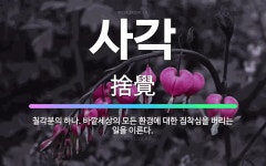 🌟사각: 칠각분의 하나. 바깥세상의 모든 환경에 대한 집착심을 버리는 일을 이른다. - 표준국어대사전