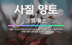 🌟사질 양토: 진흙이 비교적 적게 섞인 보드라운 흙. 공기와 물의 유통이 좋고 비료의 분해가 빨라 농작물을... - 표준국어대사전