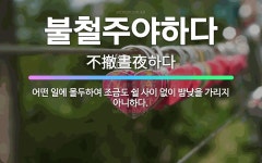🌟불철주야하다: 어떤 일에 몰두하여 조금도 쉴 사이 없이 밤낮을 가리지 아니하다. - 표준국어대사전