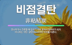 🌟비점결탄: 연소하거나 건류할 때 입자가 서로 뭉쳐서 덩어리가 되지 아니하는 석탄. 갈탄이나 무연탄 따위를... - 표준국어대사전