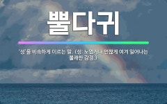 🌟뿔다귀: ‘성’을 비속하게 이르는 말. (성: 노엽거나 언짢게 여겨 일어나는 불쾌한 감정.) - 표준국어대사전