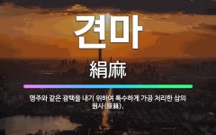 🌟견마: 명주와 같은 광택을 내기 위하여 특수하게 가공 처리한 삼의 원사(原絲). - 표준국어대사전
