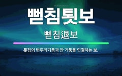 🌟뻗침툇보: 폿집의 변두리기둥과 안 기둥을 연결하는 보. - 표준국어대사전