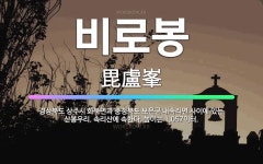 🌟비로봉: 경상북도 상주시 화북면과 충청북도 보은군 내속리면 사이에 있는 산봉우리. 속리산에 속한다. 높이... - 표준국어대사전