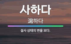 🌟사하다: 설사 상태의 변을 보다. - 표준국어대사전