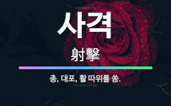 🌟사격: 총, 대포, 활 따위를 쏨. - 표준국어대사전