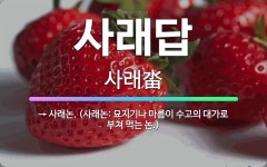 🌟사래답: → 사래논. (사래논: 묘지기나 마름이 수고의 대가로 부쳐 먹는 논.) - 표준국어대사전